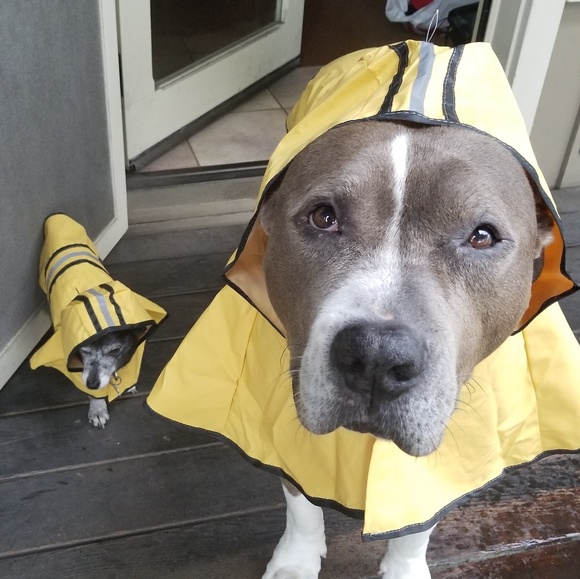 Meet your Posher, Me - Picture 4 of 8